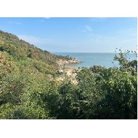 卿玖玖