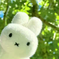 林清